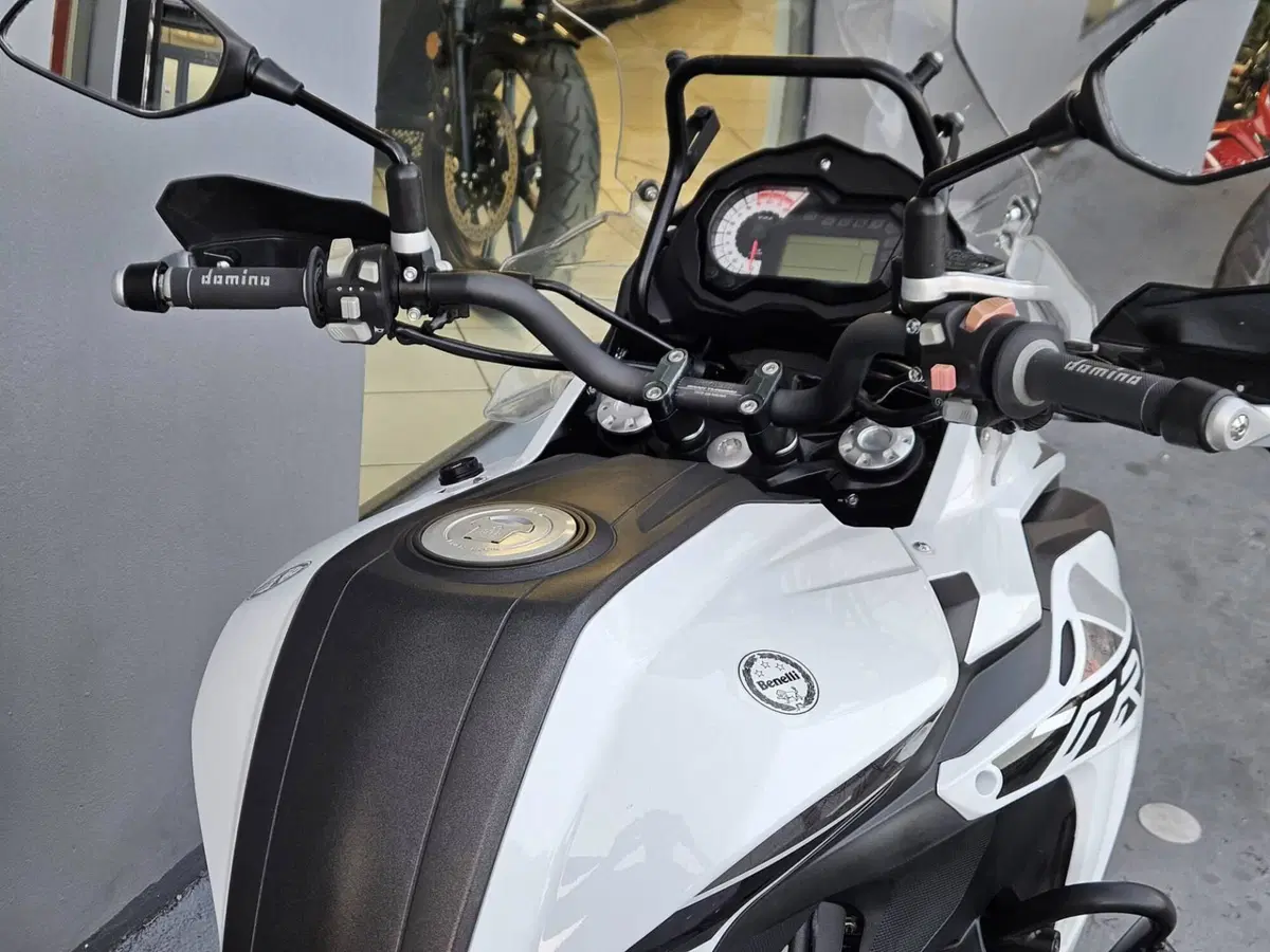 Benelli TRK 502X (2020) (10)