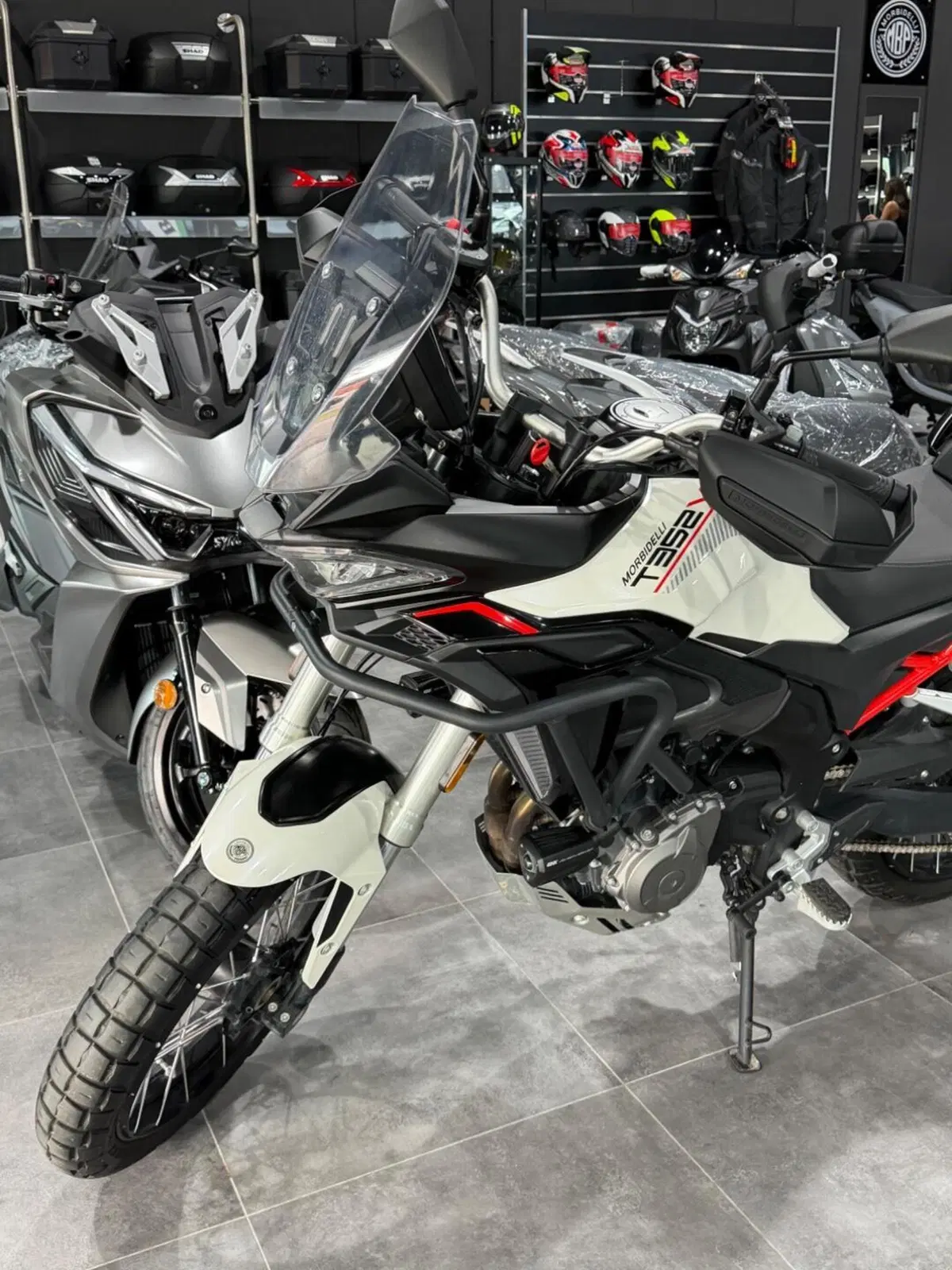 Morbidelli T352X (2026) (2)