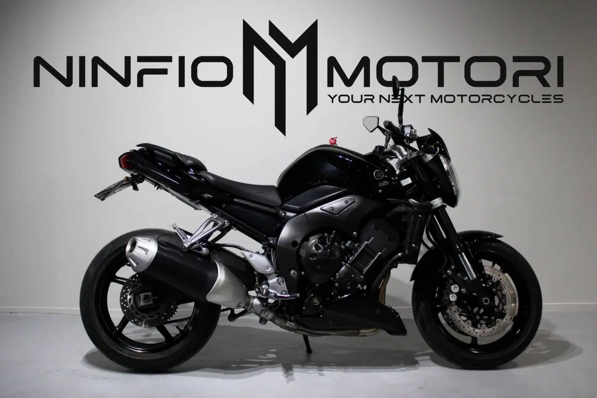 Yamaha FZ1 (2006 - 16)