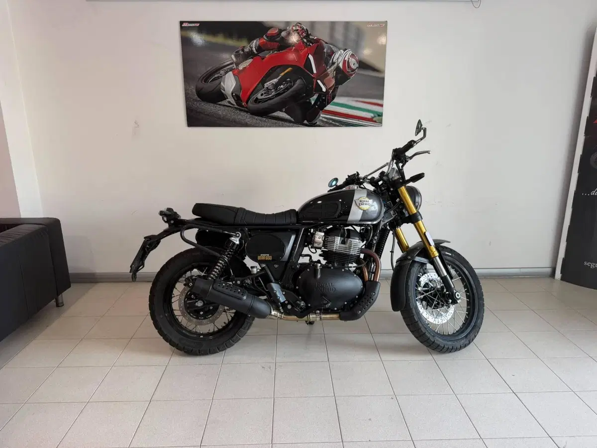 Royal Enfield Bear 650 (2025 - 26)