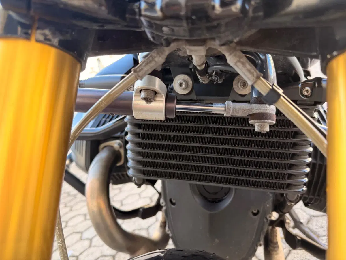 Bmw R nineT 1200 (2017 - 20) (5)