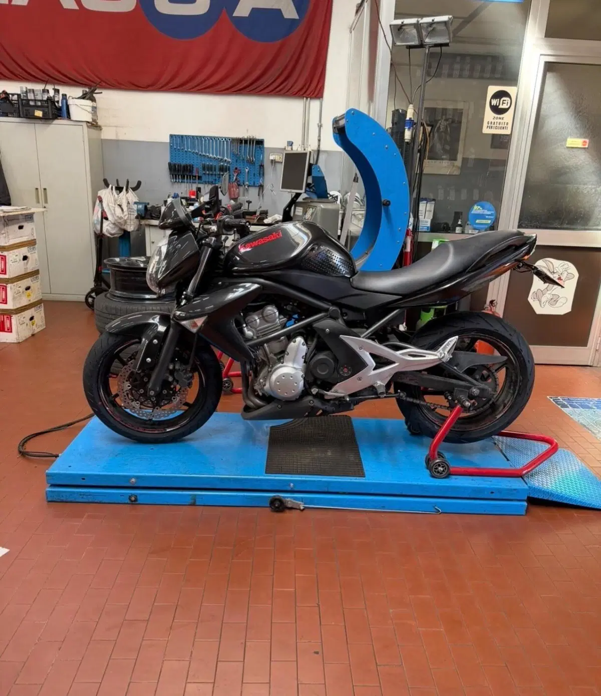 Kawasaki ER-6N (2006 - 09)