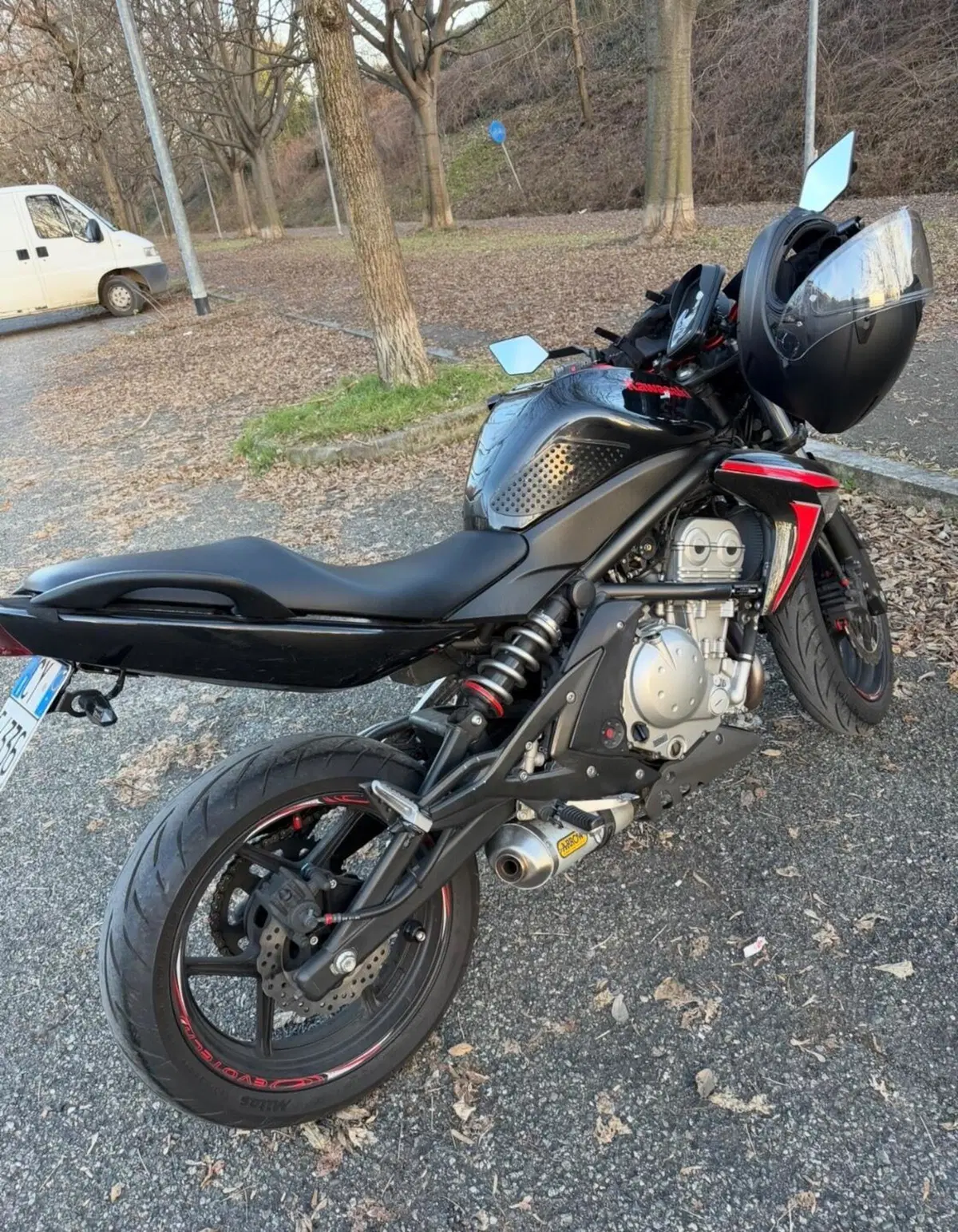 Kawasaki ER-6N (2006 - 09) (2)