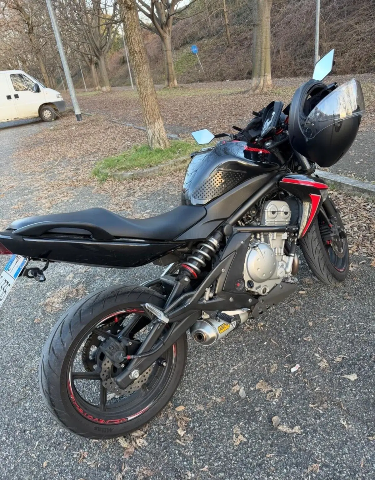 Kawasaki ER-6N (2006 - 09) (3)