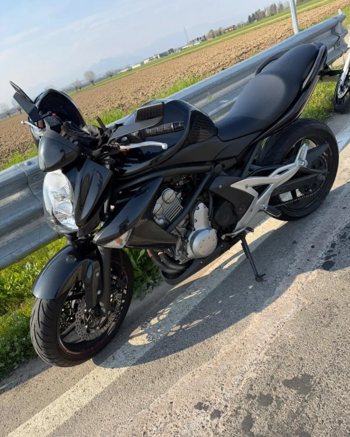 Kawasaki ER-6N (2006 - 09) (5)