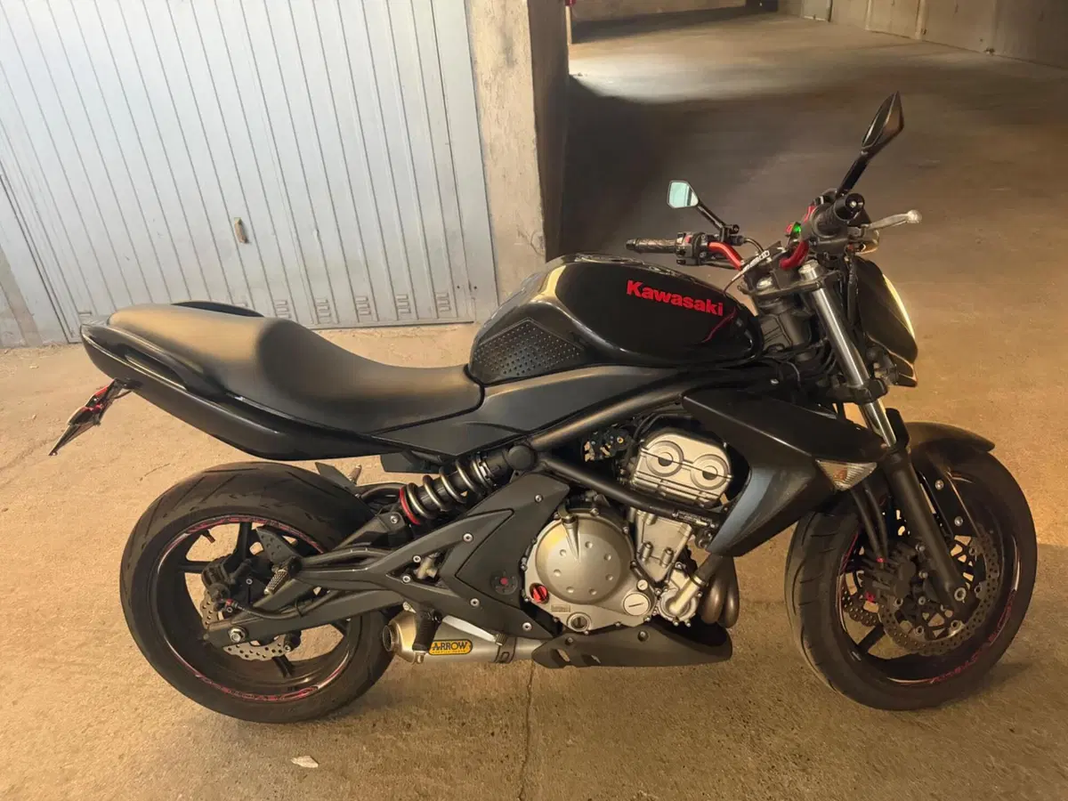 Kawasaki ER-6N (2006 - 09) (8)