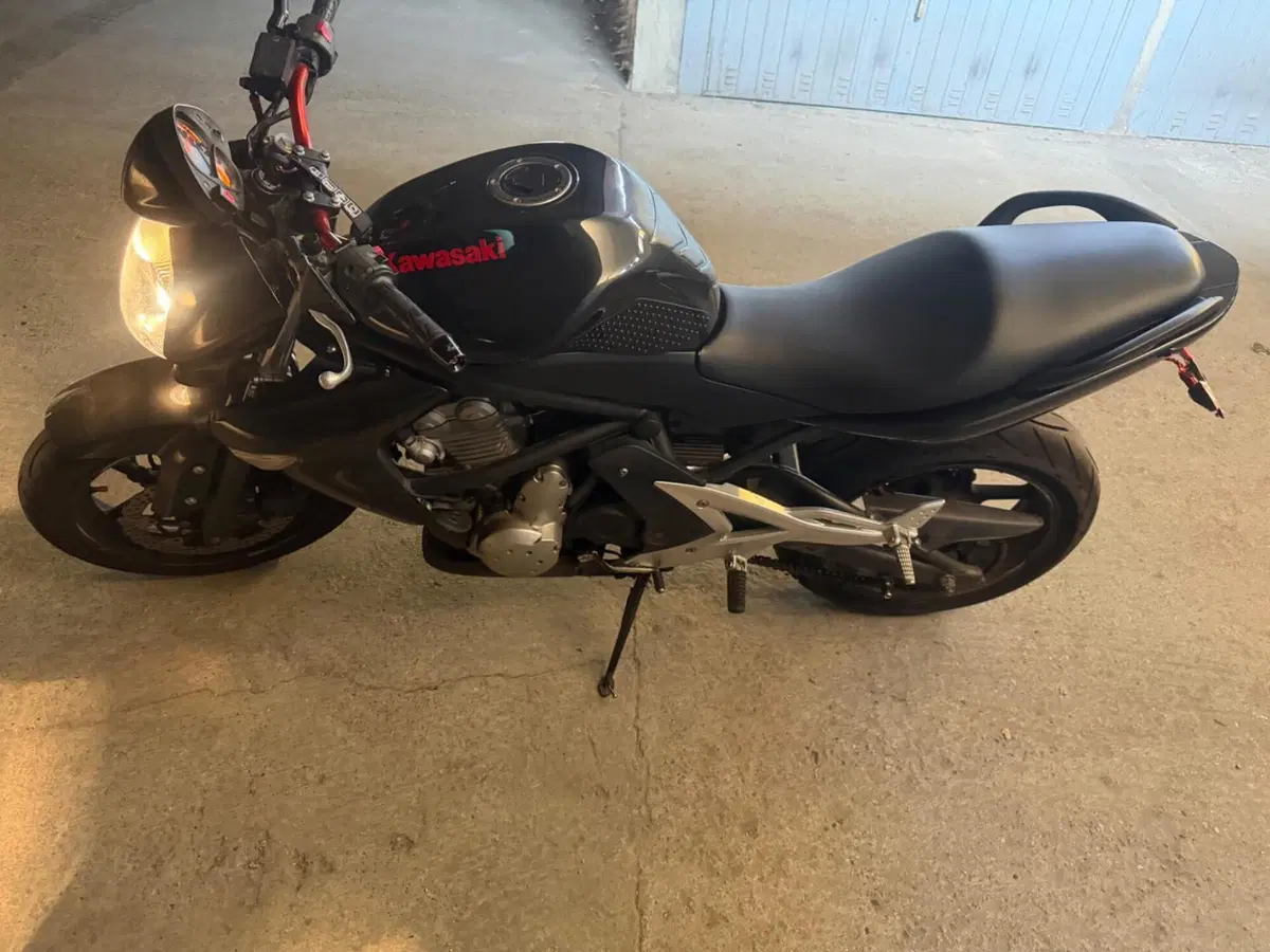Kawasaki ER-6N (2006 - 09) (9)