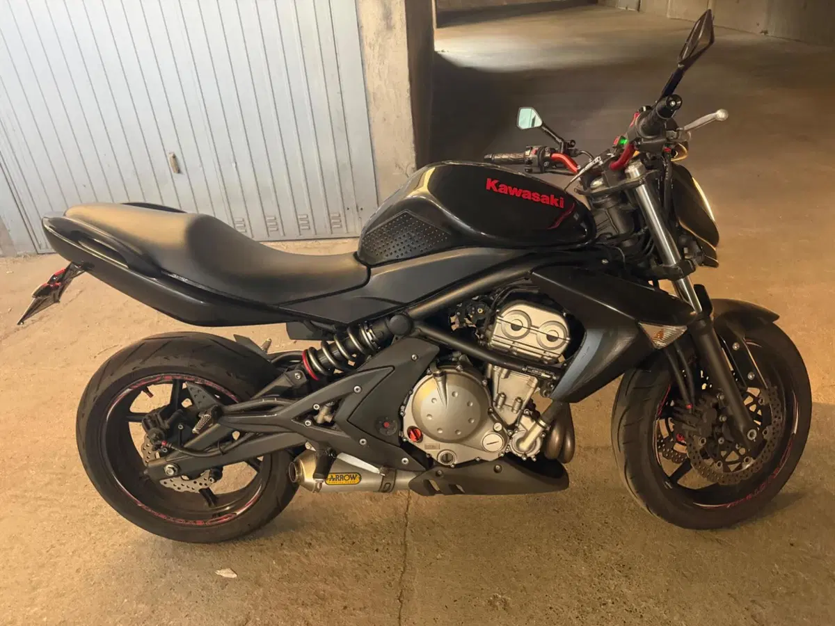 Kawasaki ER-6N (2006 - 09) (11)