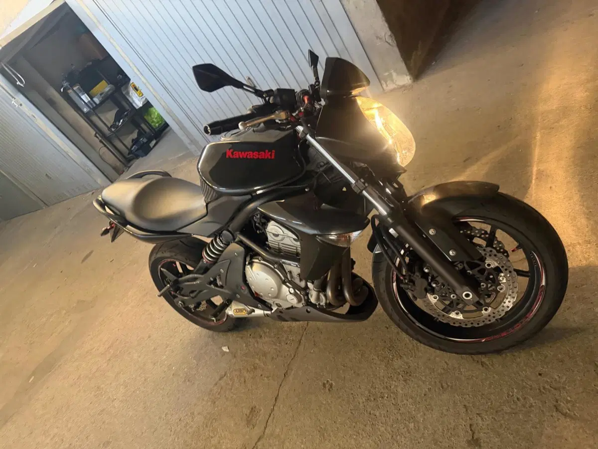 Kawasaki ER-6N (2006 - 09) (12)