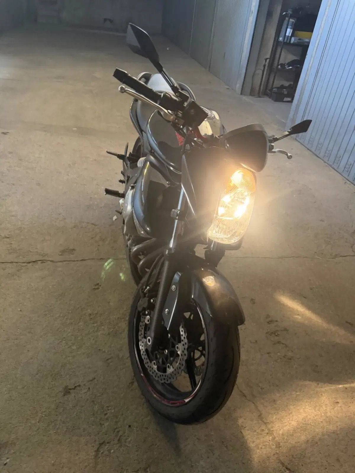 Kawasaki ER-6N (2006 - 09) (13)