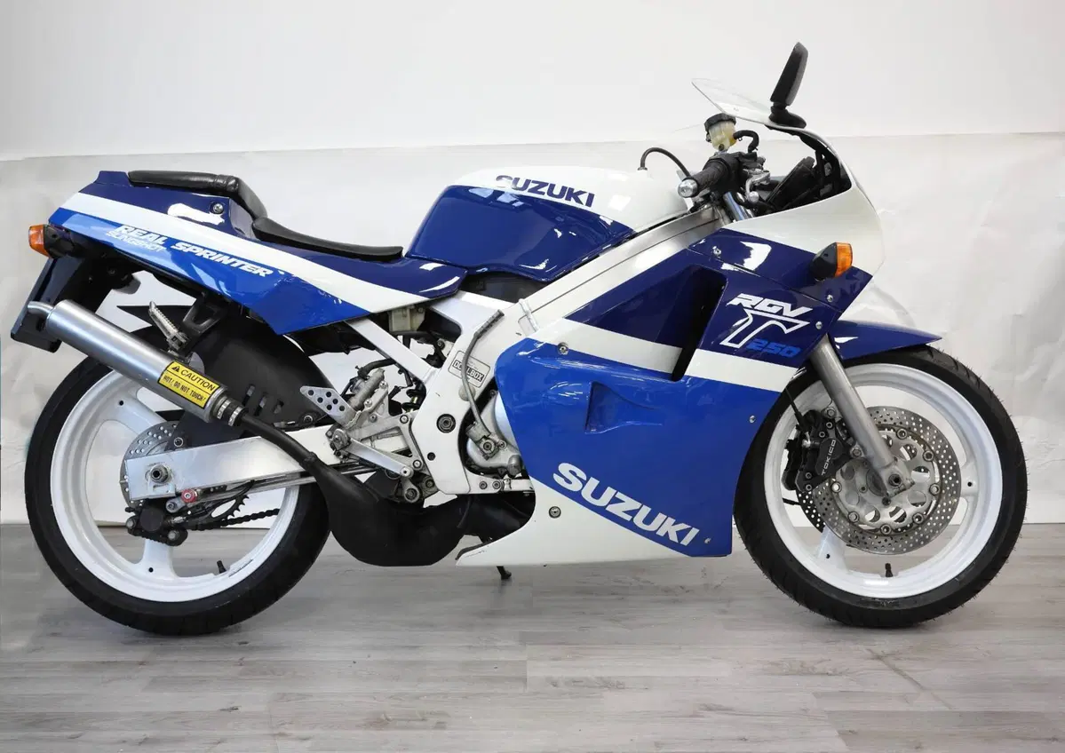 Suzuki RGV 250 (1989 - 97)