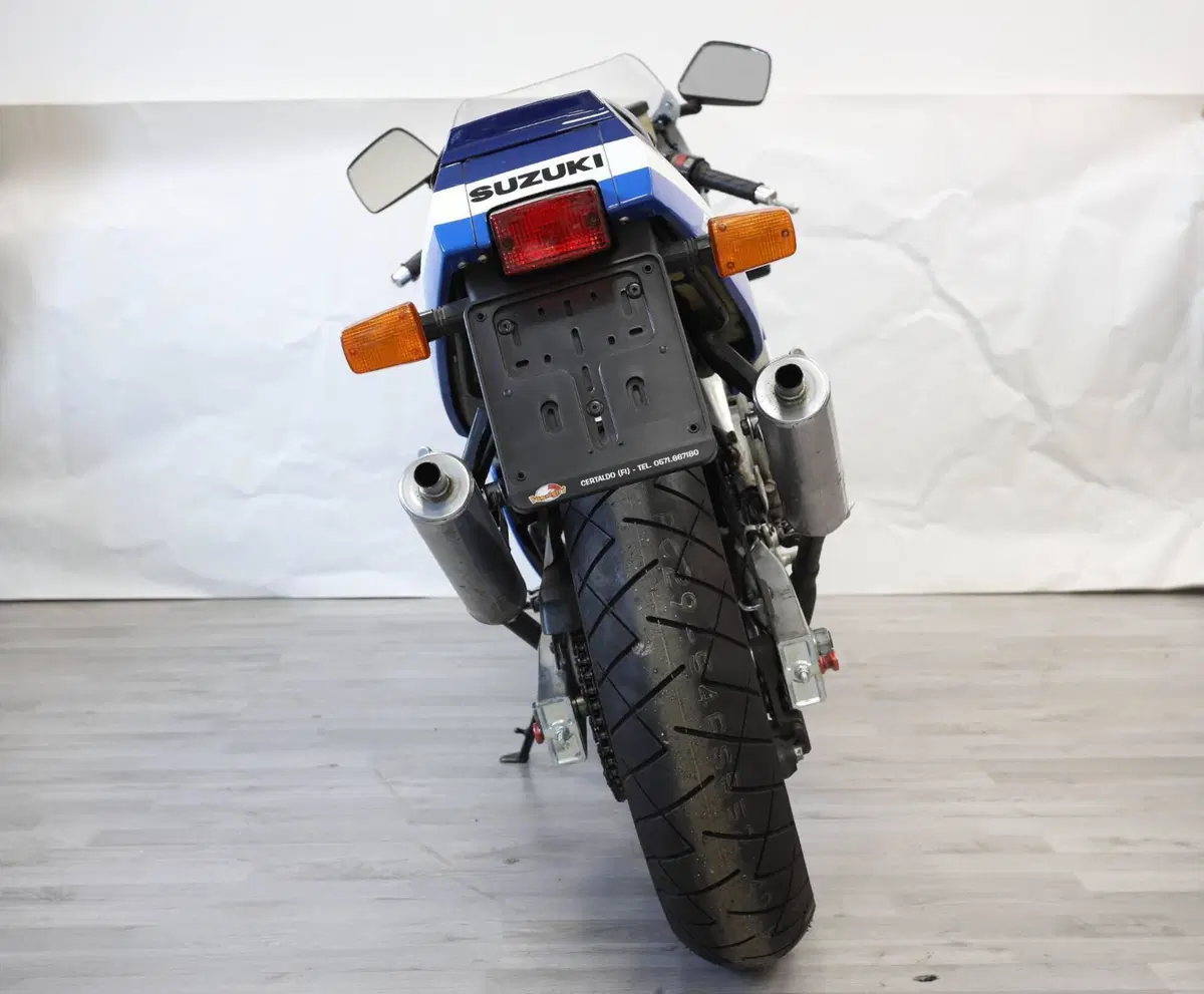Suzuki RGV 250 (1989 - 97) (4)