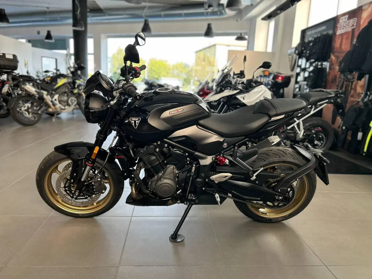 Triumph Trident 800 (2026) (3)