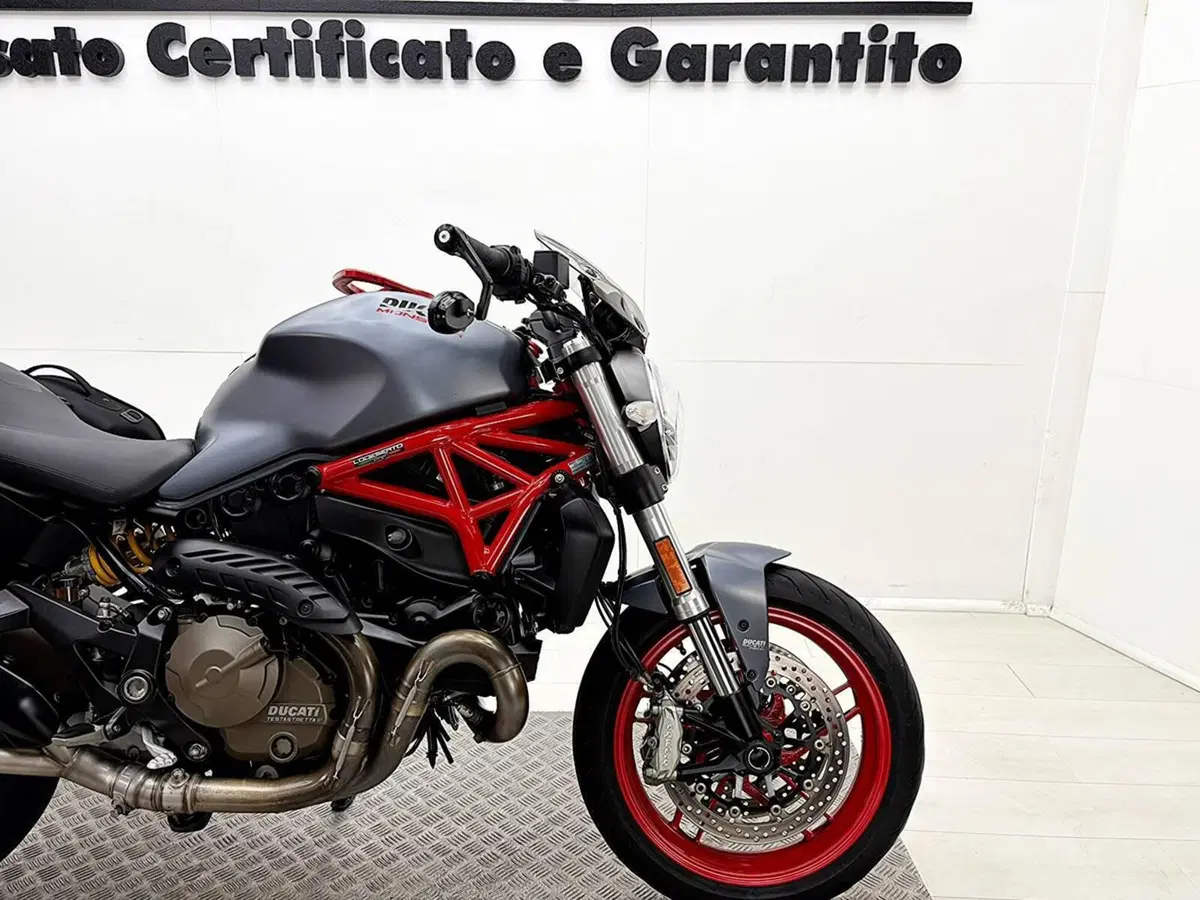 Ducati Monster 821 (2018 - 20) (9)