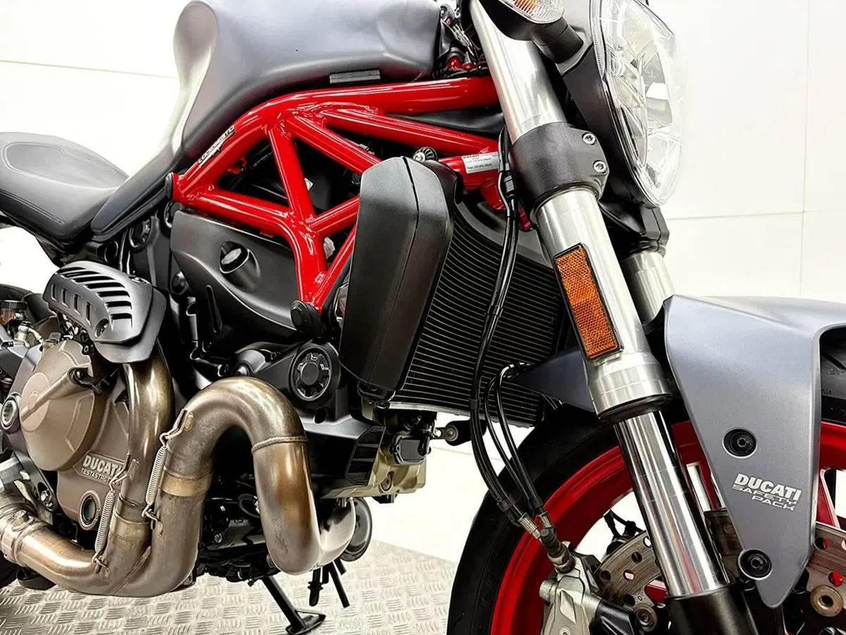 Ducati Monster 821 (2018 - 20) (10)