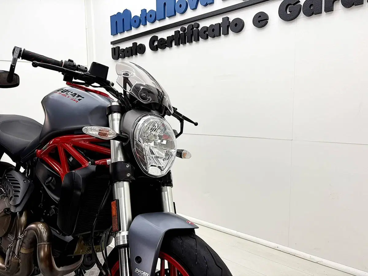 Ducati Monster 821 (2018 - 20) (11)