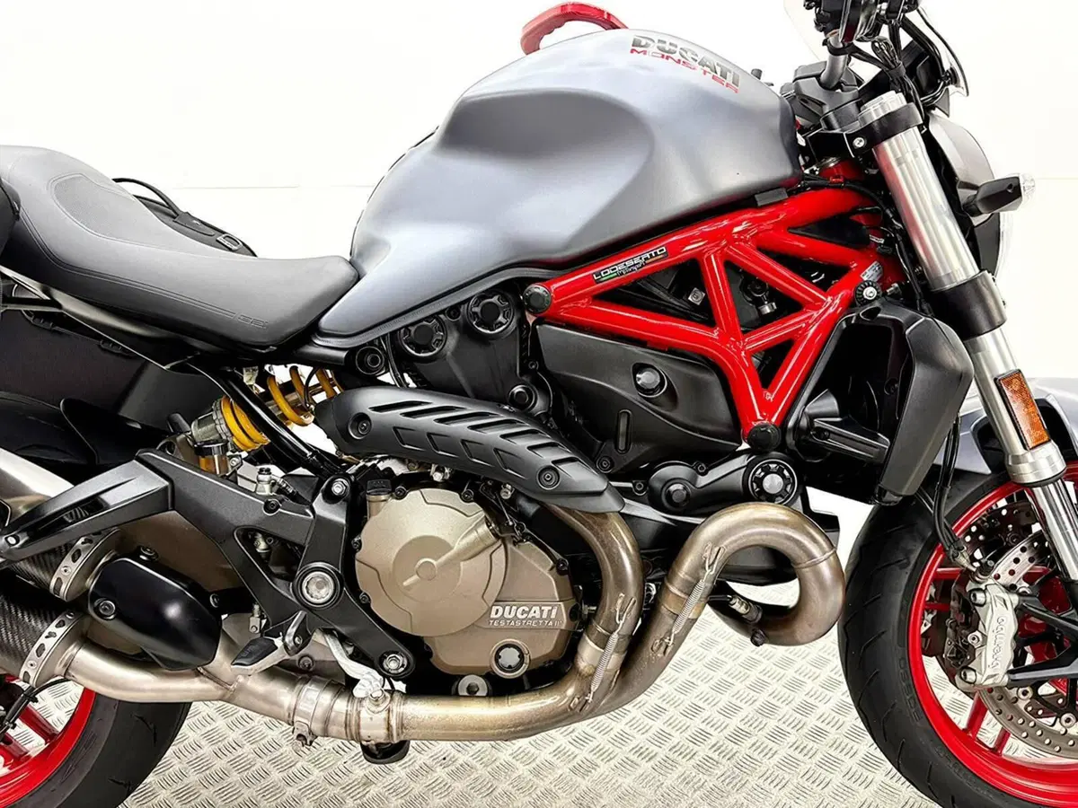Ducati Monster 821 (2018 - 20) (8)