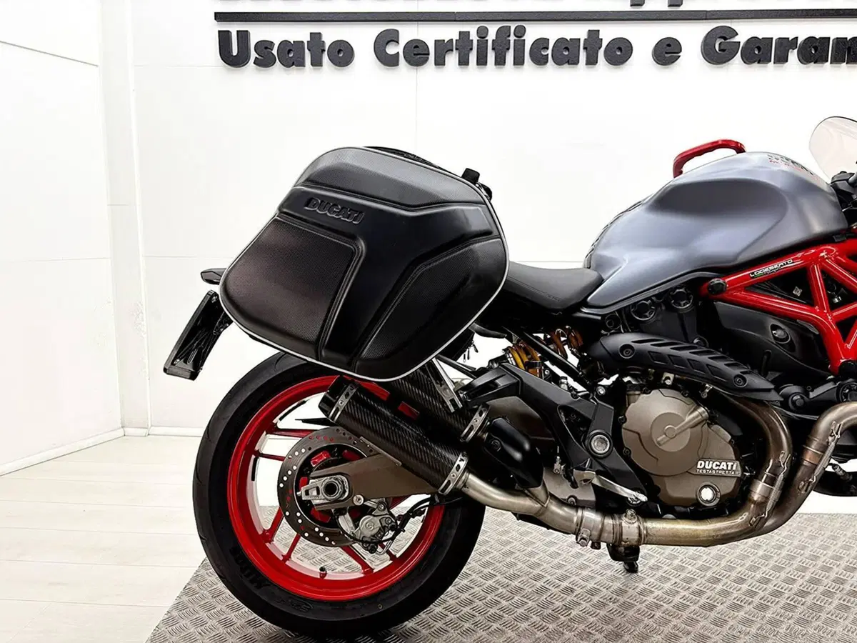 Ducati Monster 821 (2018 - 20) (7)
