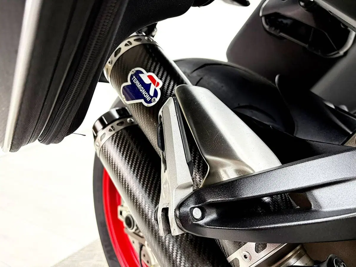 Ducati Monster 821 (2018 - 20) (19)