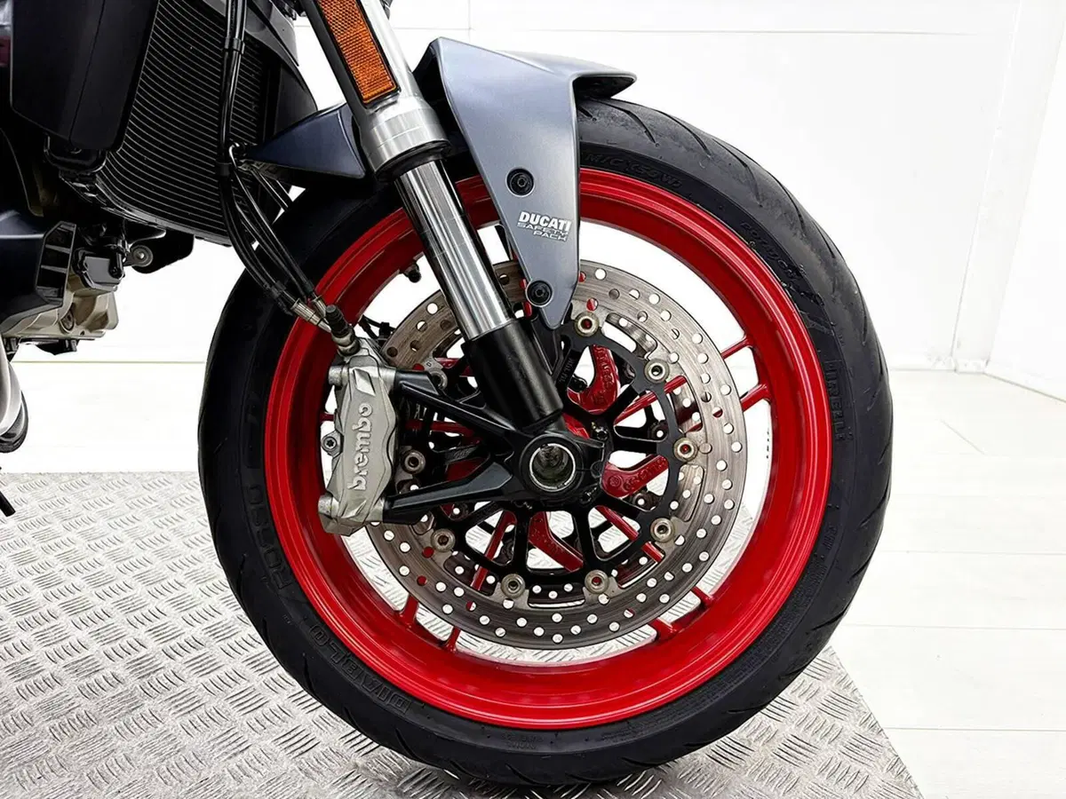Ducati Monster 821 (2018 - 20) (12)