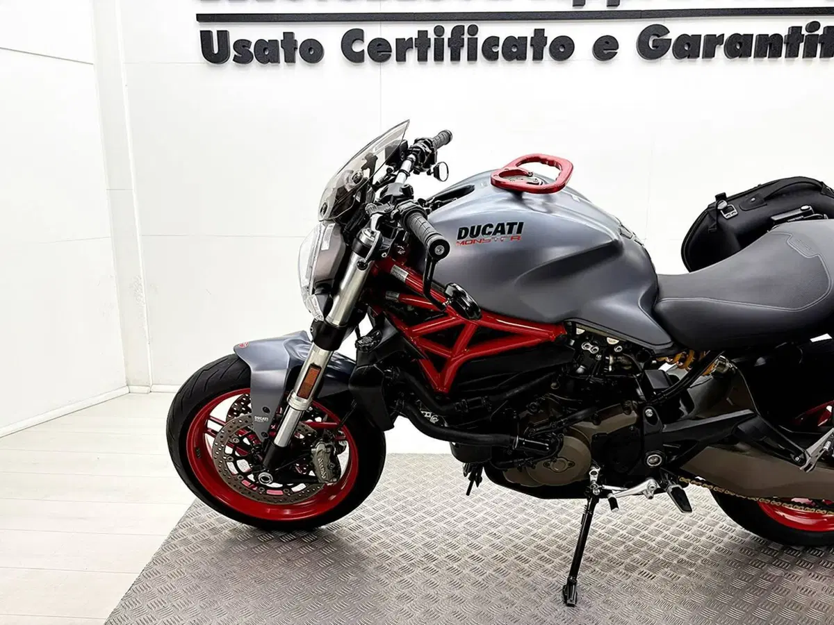 Ducati Monster 821 (2018 - 20) (15)