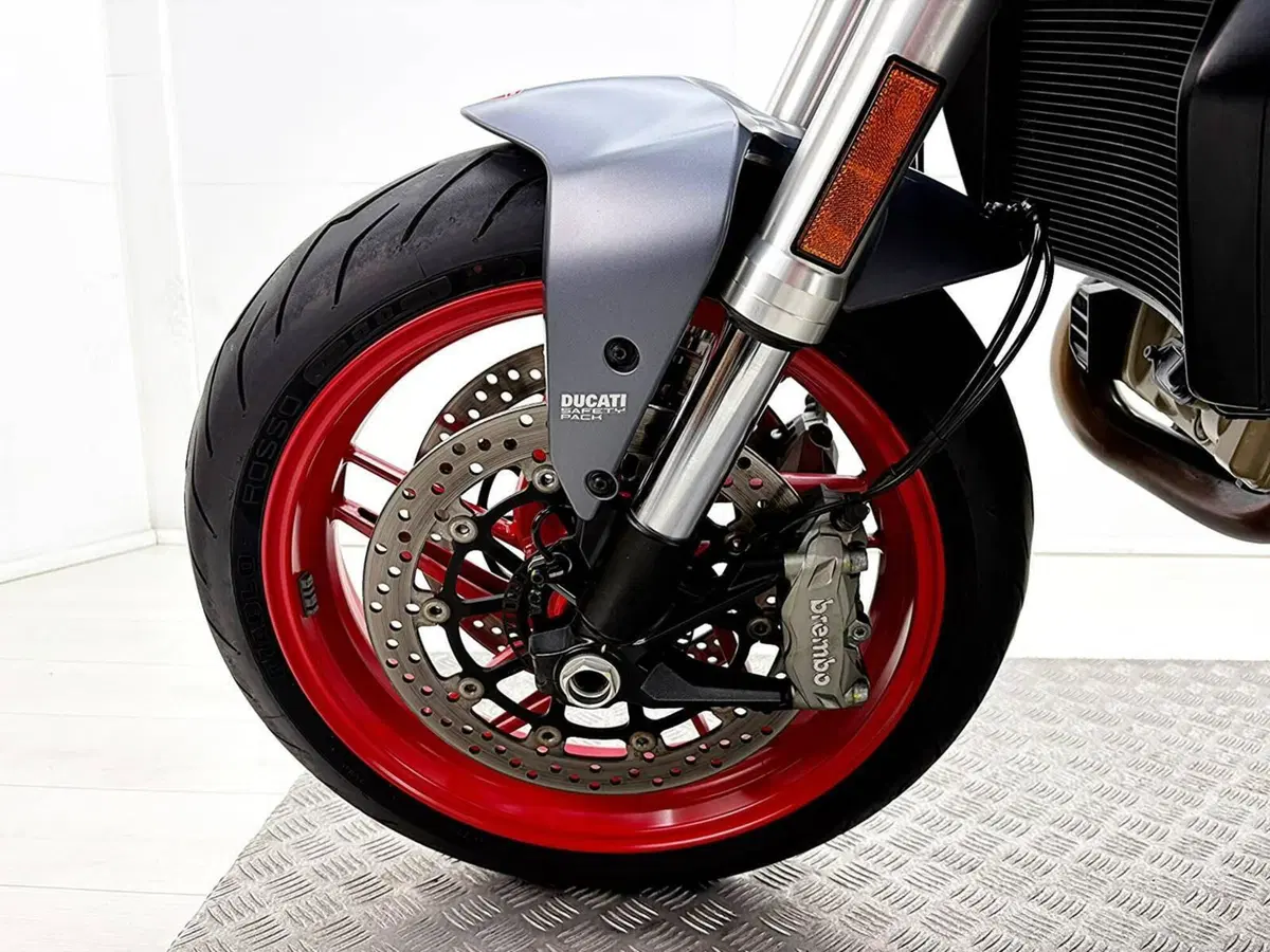 Ducati Monster 821 (2018 - 20) (13)