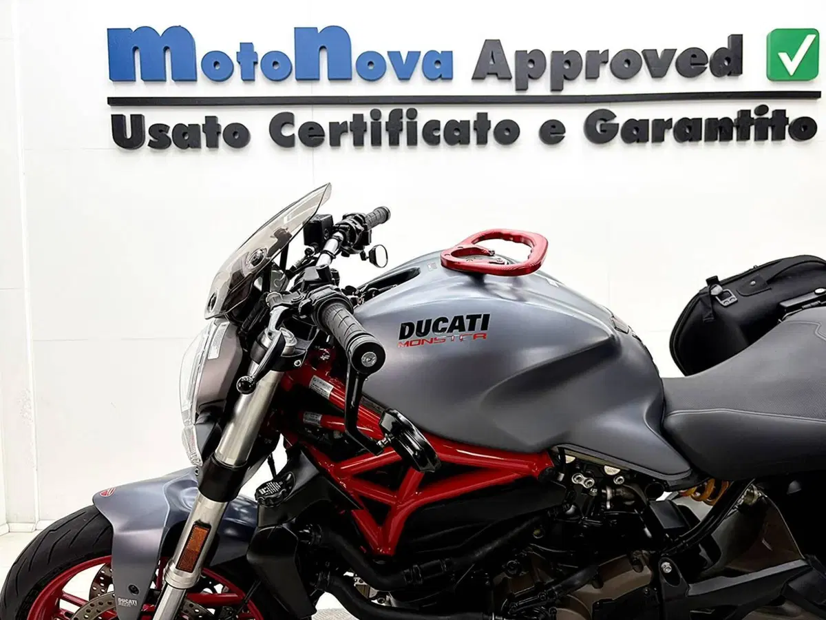 Ducati Monster 821 (2018 - 20) (14)