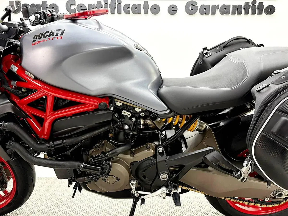 Ducati Monster 821 (2018 - 20) (16)