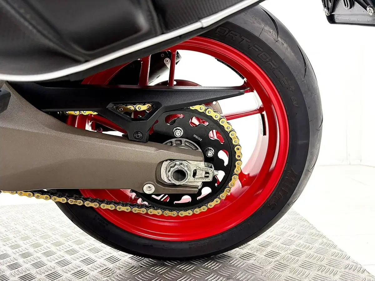 Ducati Monster 821 (2018 - 20) (17)