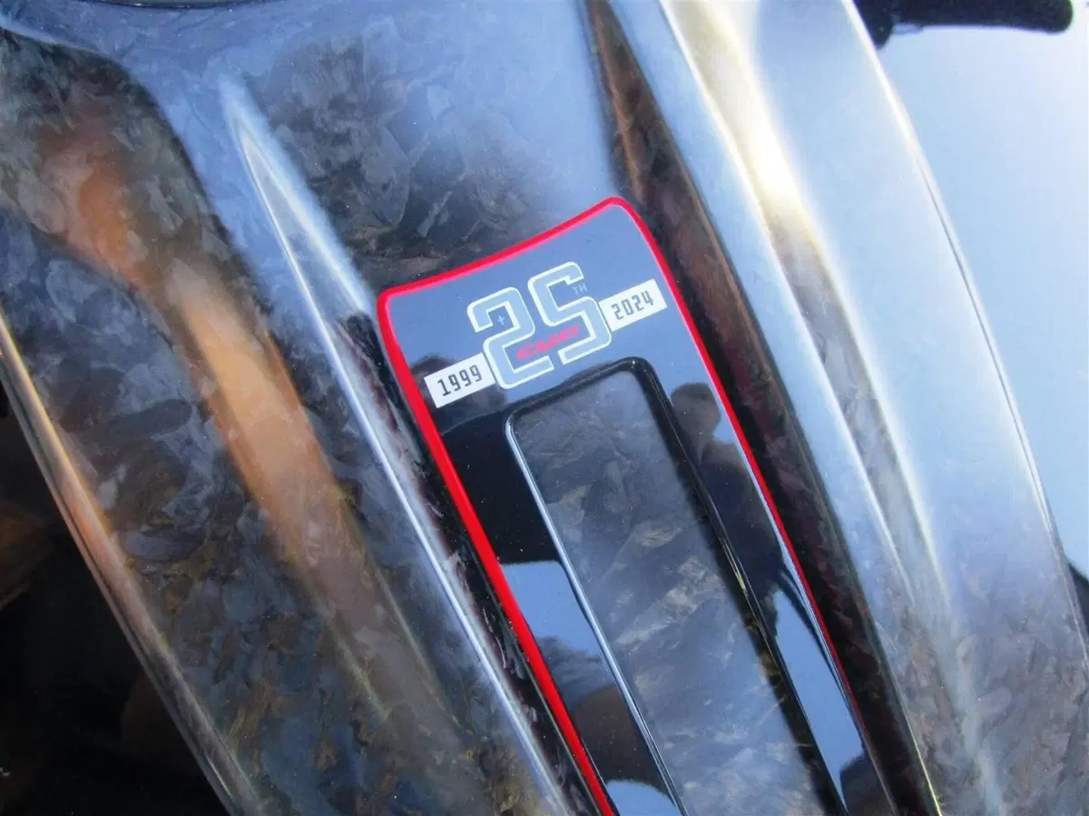 Harley-Davidson CVO Road Glide ST (2024) (9)