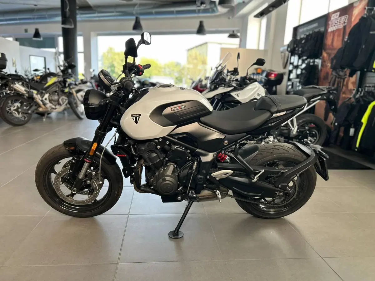 Triumph Trident 660 (2026) (3)