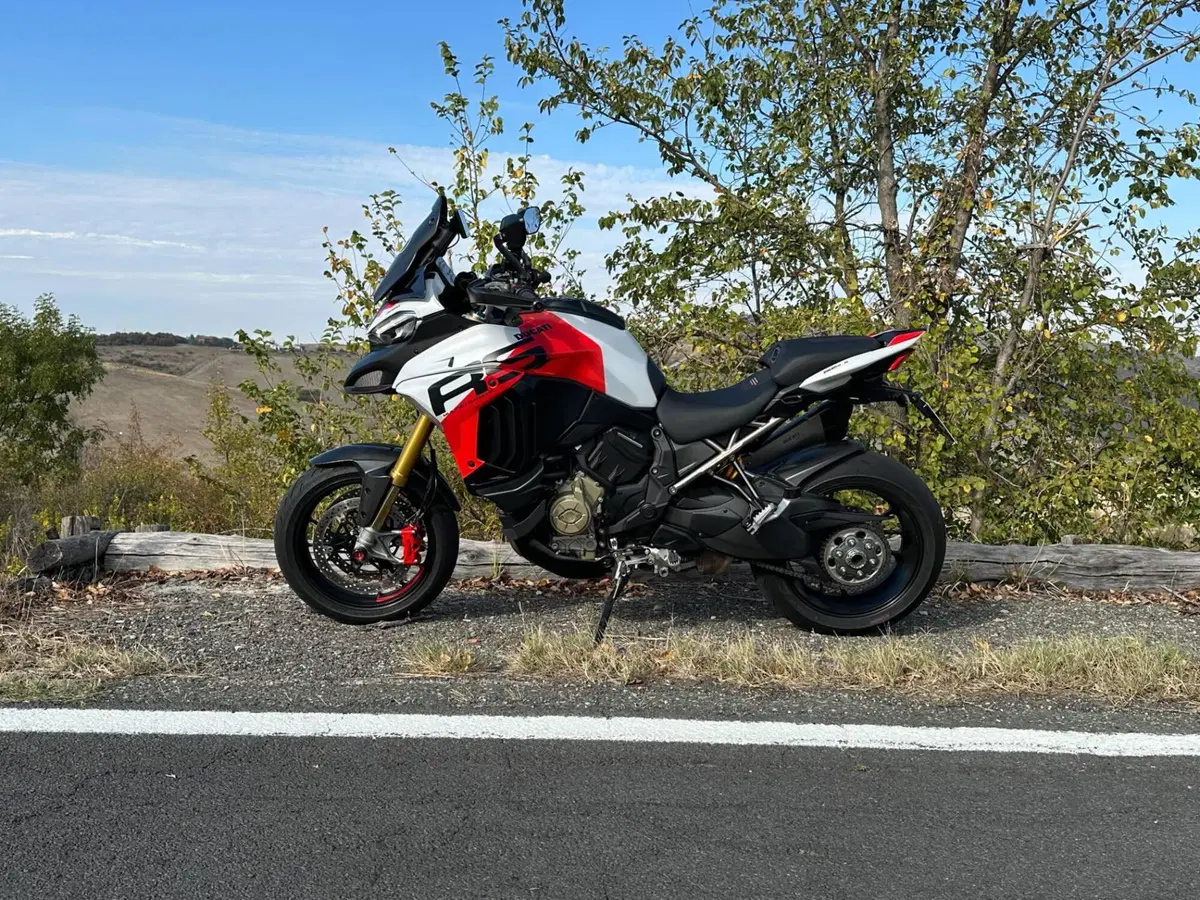 Ducati Multistrada V4 RS (2024 - 25) (2)