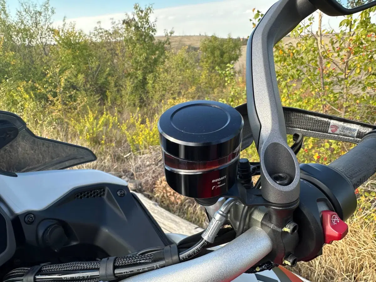 Ducati Multistrada V4 RS (2024 - 25) (9)