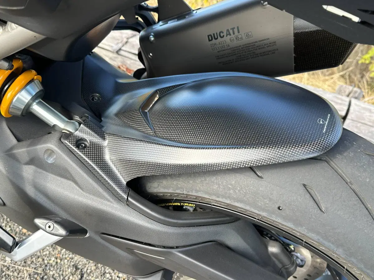 Ducati Multistrada V4 RS (2024 - 25) (11)