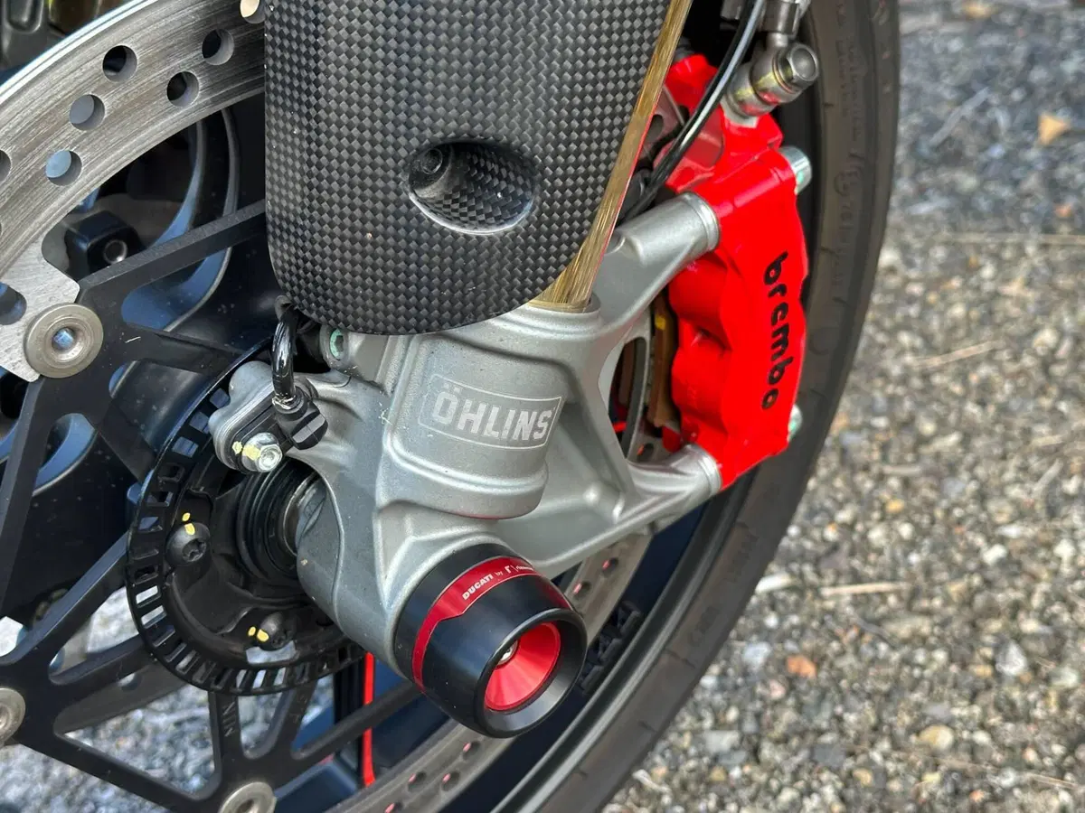 Ducati Multistrada V4 RS (2024 - 25) (12)