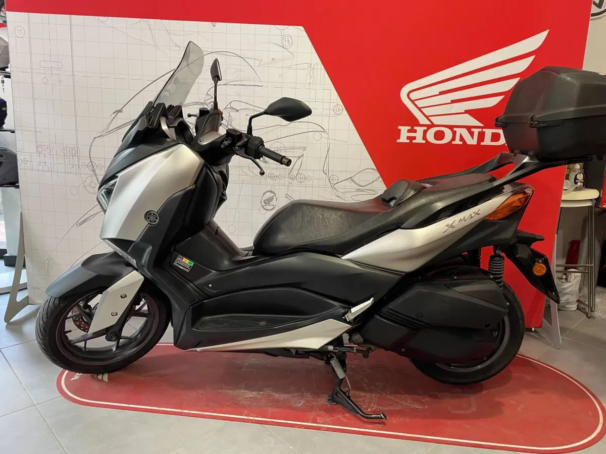 Yamaha X-Max 300 ABS (2017 - 20) (8)