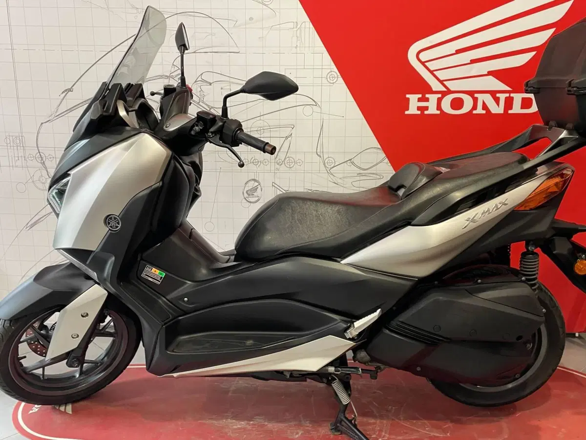 Yamaha X-Max 300 ABS (2017 - 20) (2)
