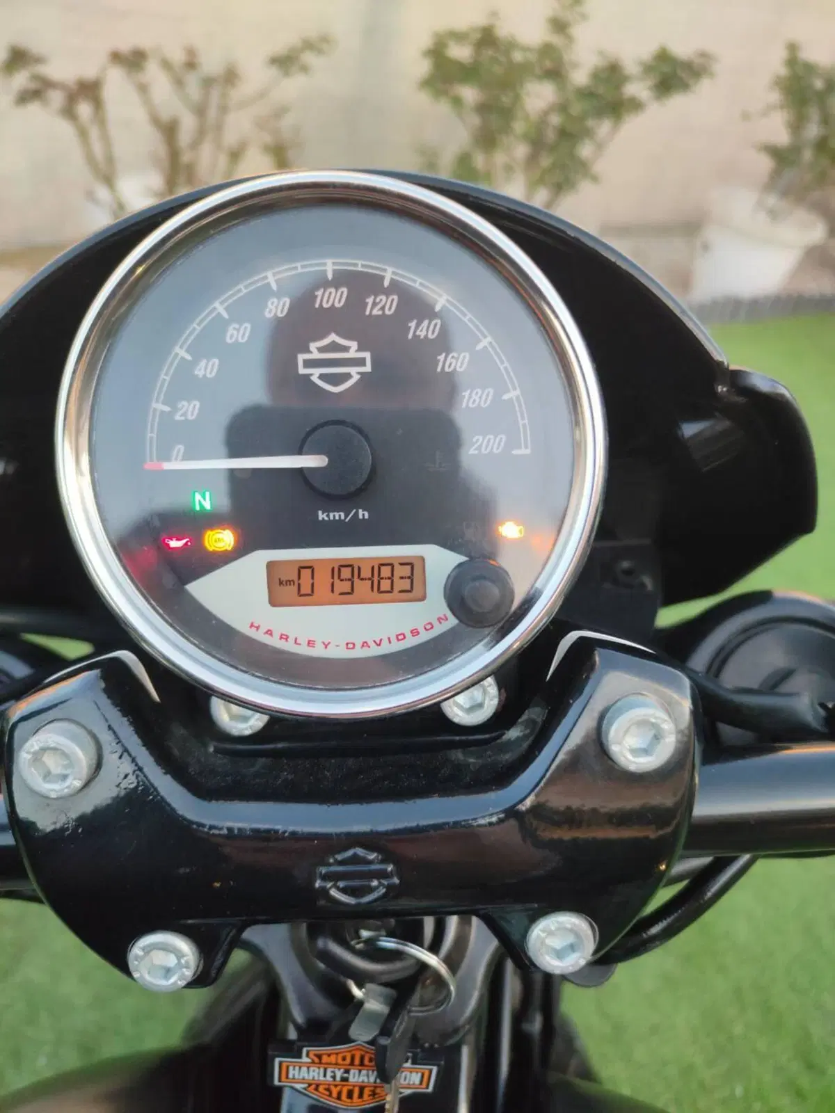Harley-Davidson 750 Street Rod (2017 - 20) - XG 750 (3)
