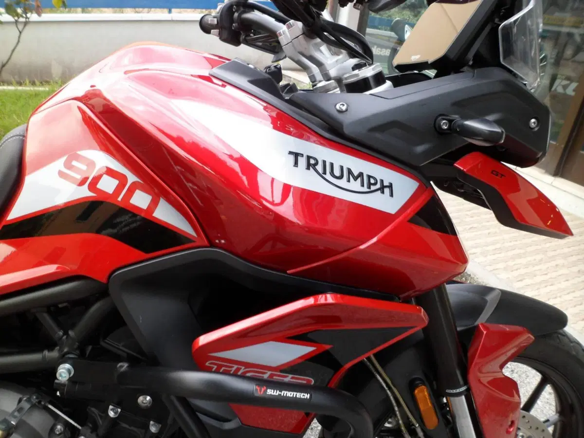 Triumph Tiger 900 GT (2020 - 23) (9)