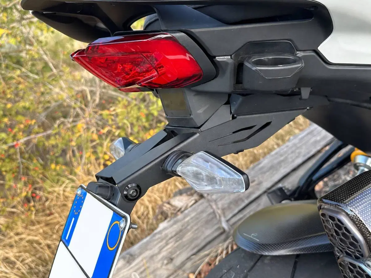Ducati Multistrada V4 RS (2024 - 25) (17)