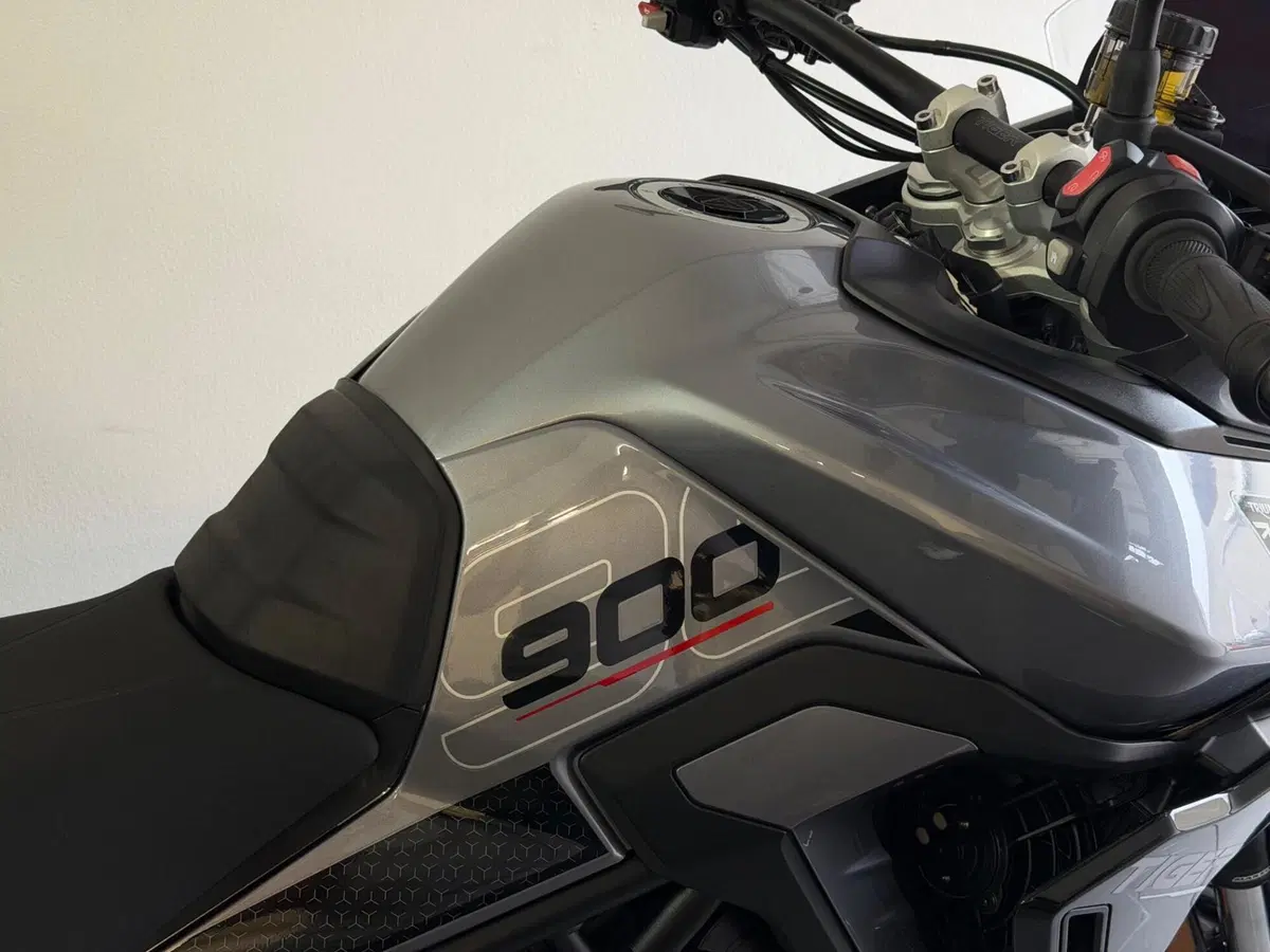 Triumph Tiger 900 GT Pro (2024 - 26) (4)