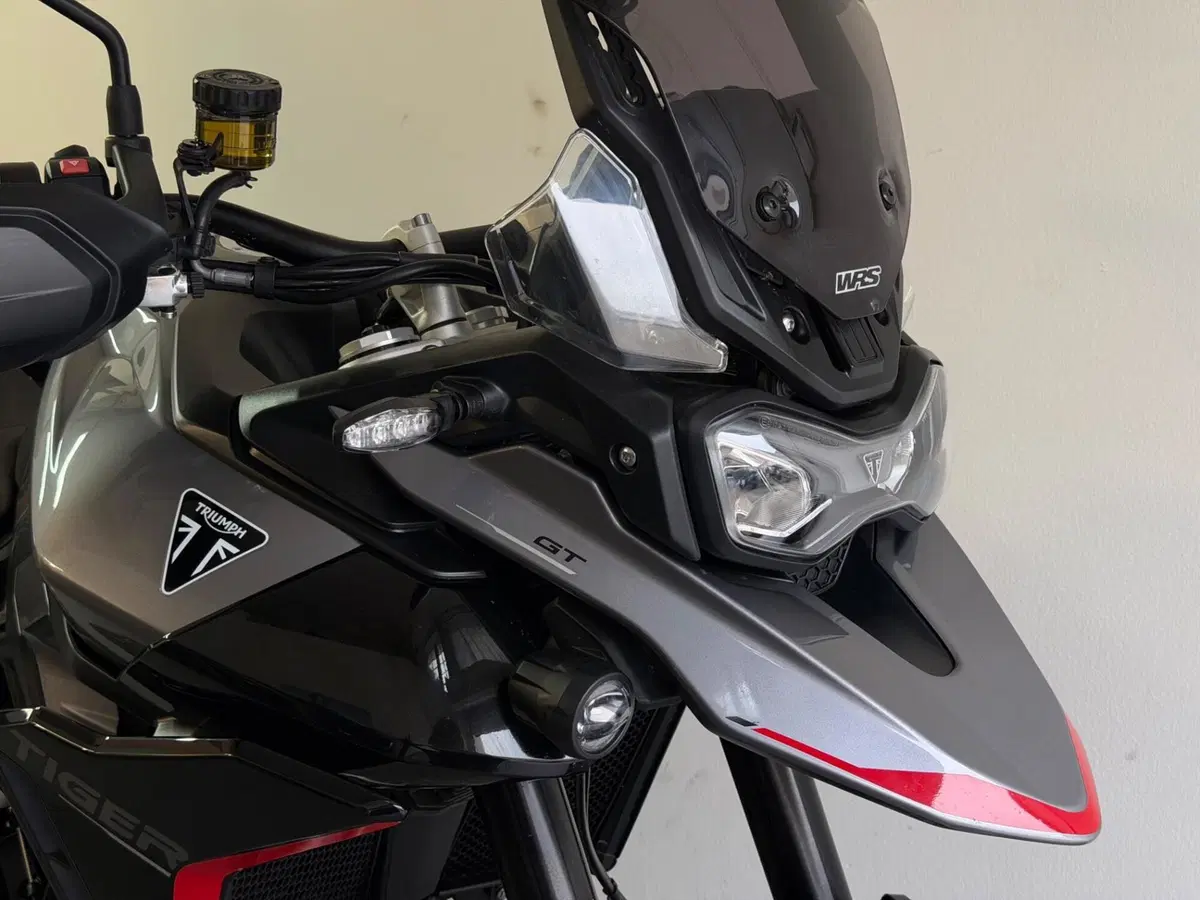 Triumph Tiger 900 GT Pro (2024 - 26) (2)