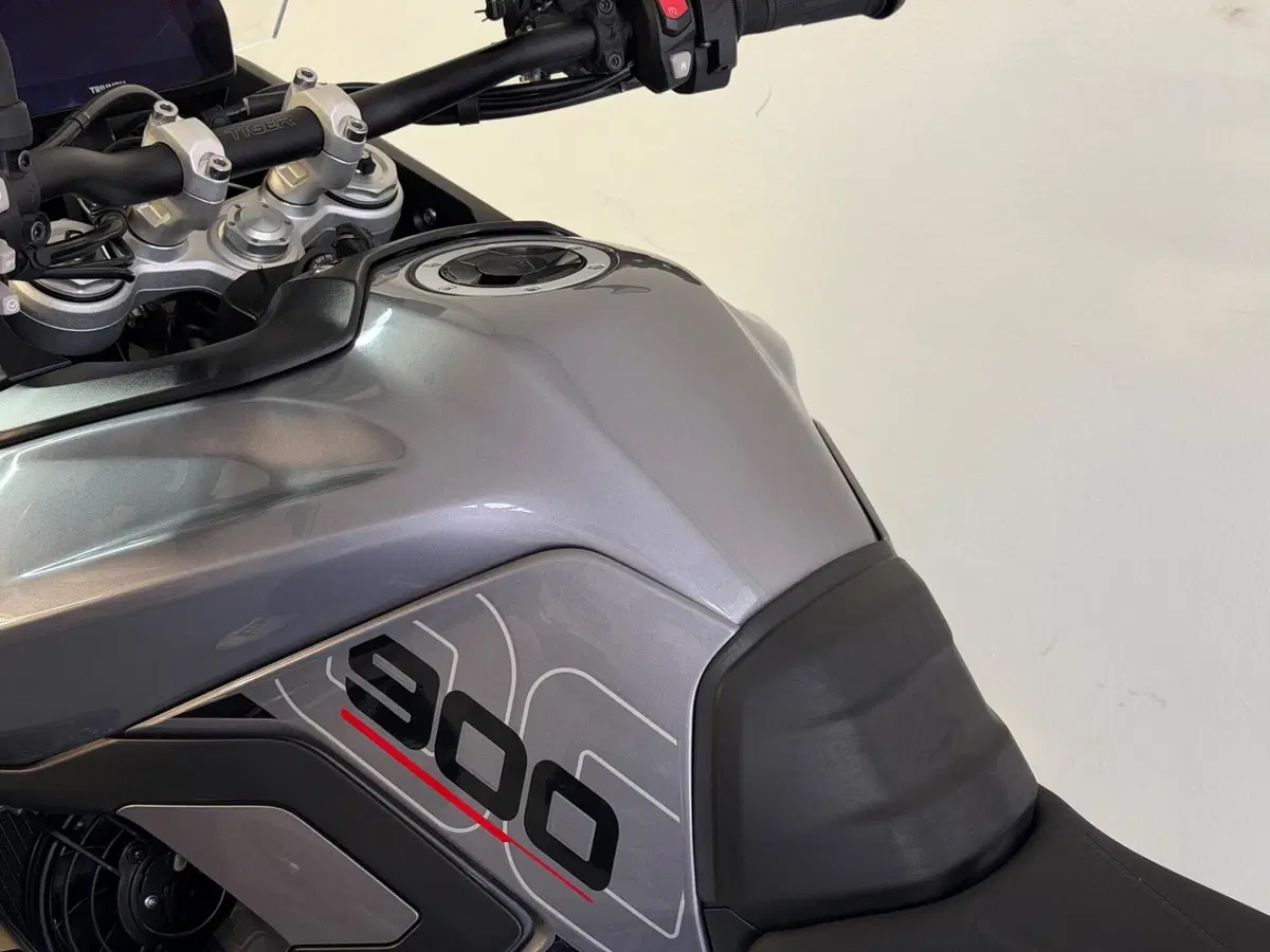 Triumph Tiger 900 GT Pro (2024 - 26) (9)