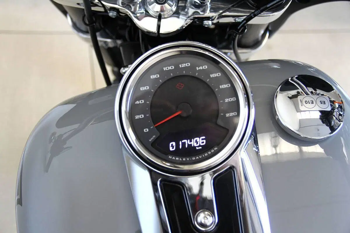Harley-Davidson Sport Glide (2021 - 25) (9)