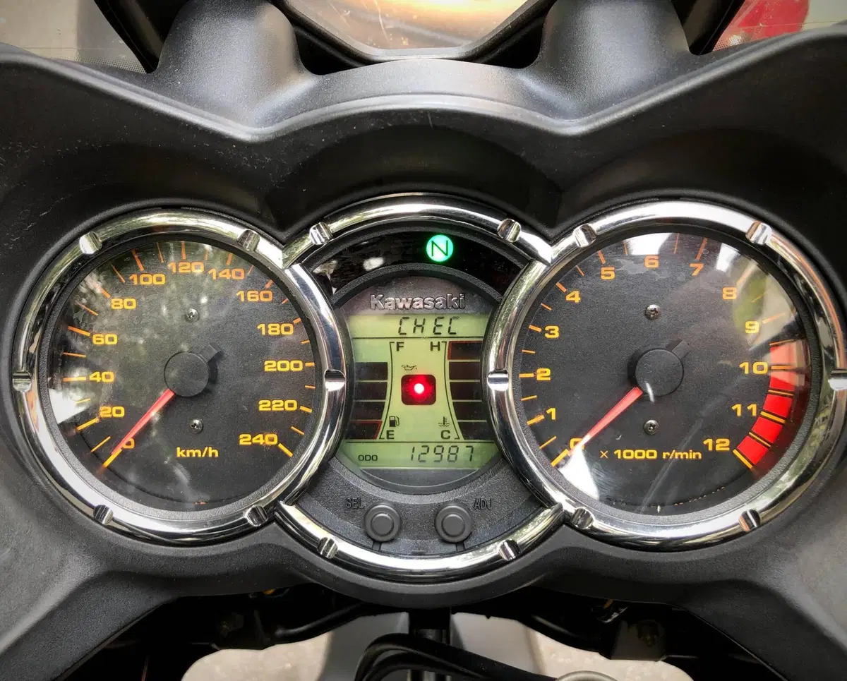 Kawasaki KLV 1000 (6)