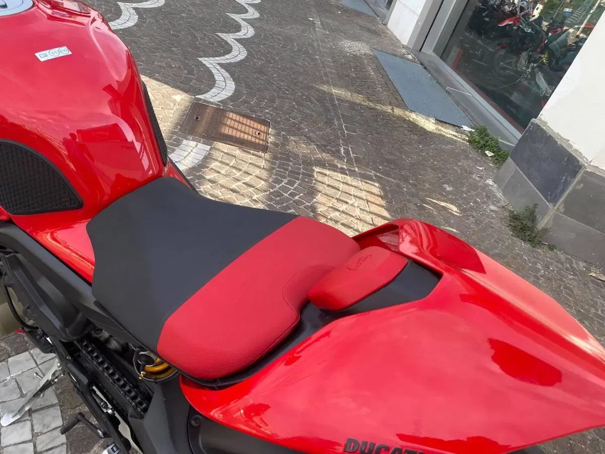 Ducati Streetfighter V4 S (2023 - 24) (6)