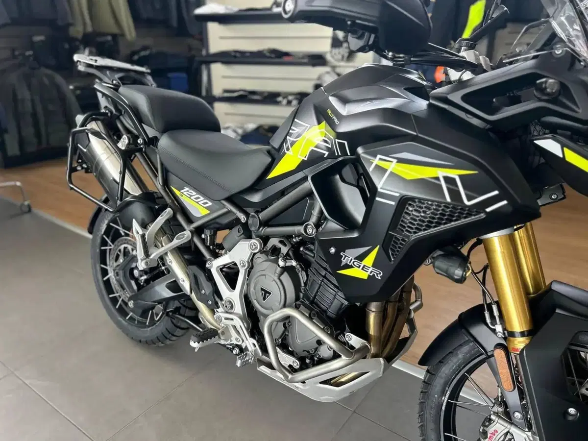 Triumph Tiger 1200 Desert Special Edition (2026) (7)