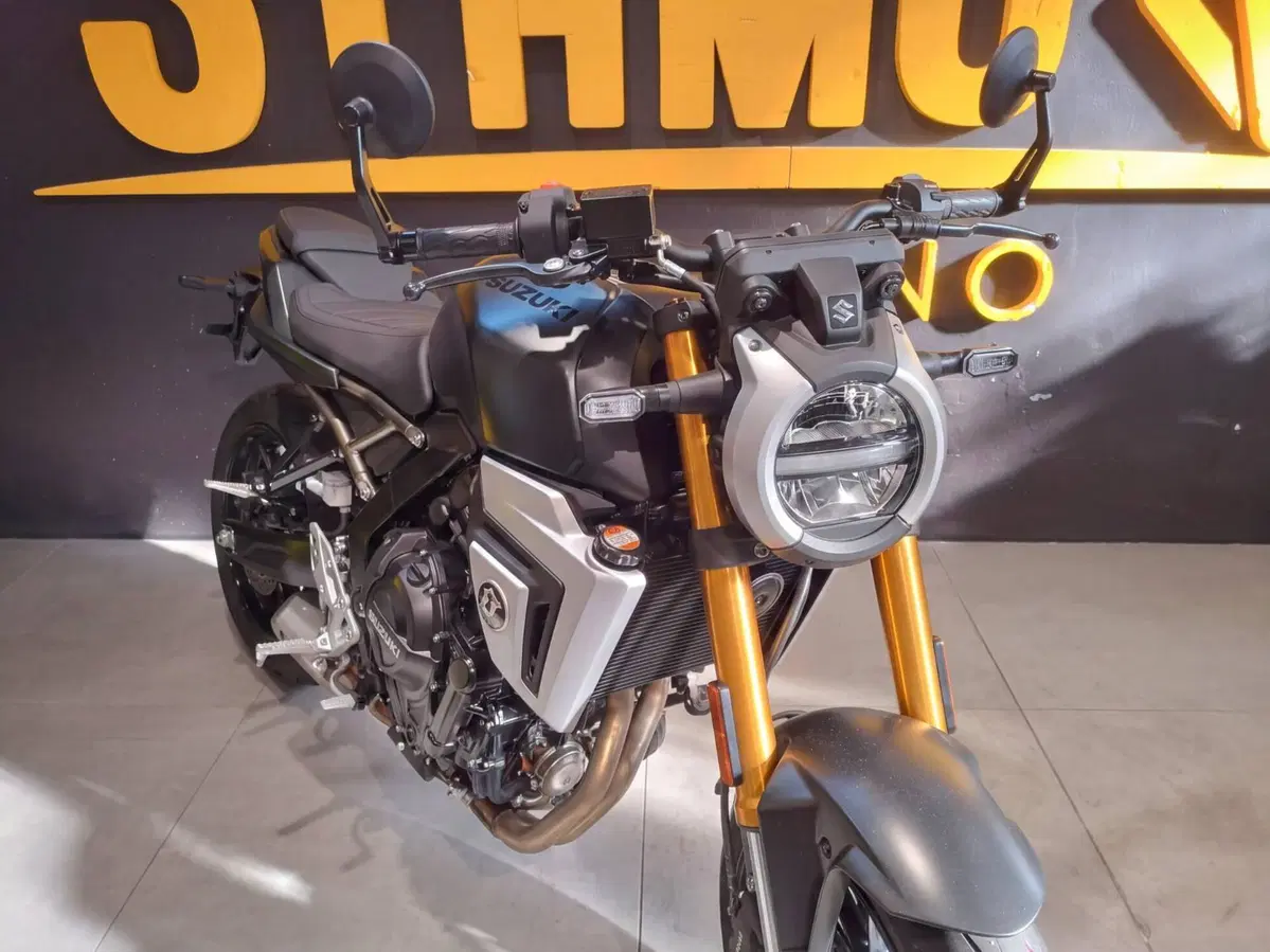 Suzuki GSX-8T (2025 - 26) (2)