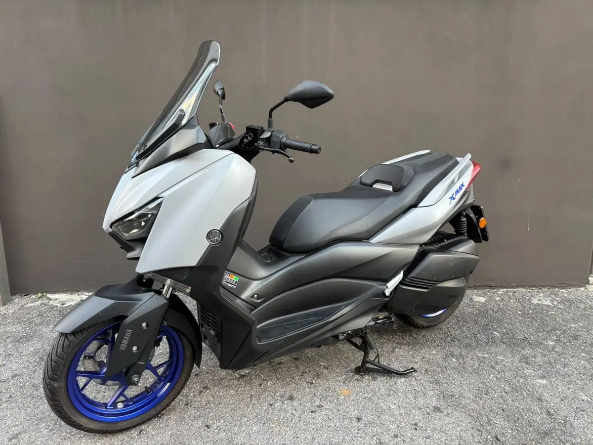 Yamaha X-Max 300 (2021 - 24) (4)