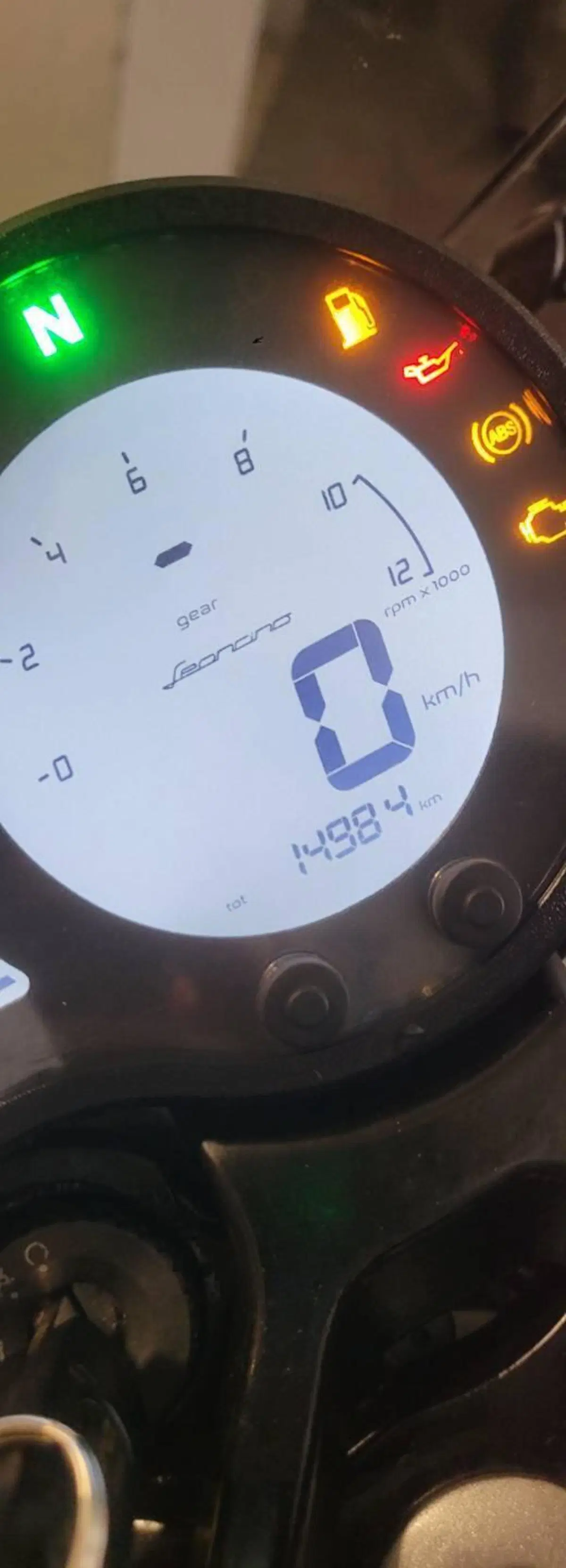 Benelli Leoncino 500 (2021 - 25) (3)